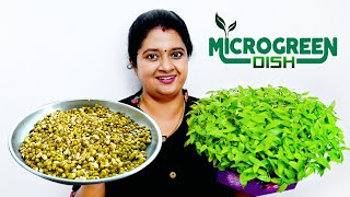 എളുപ്പത്തിലൊരു ഇലക്കറി  Healthy Microgreens Recipe  Anila Sreekumar [upl. by Peta815]