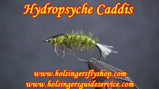 Hydropsyche Caddis Holsingers Fly Shop [upl. by Llejk]