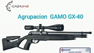 Agrupacion GAMO GX40 [upl. by Tobit]