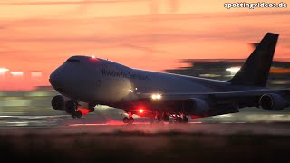 Cologne Bonn Airport  Planespotting Highlights  20241104 [upl. by Hoxsie807]