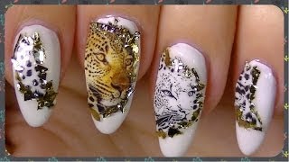 Wild Nail Art Water Decals bornprettystore Review [upl. by Edualcnaej715]