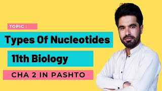 Types of nucleotides  Pashto  FSC part 1  Home of biology [upl. by Elston6]