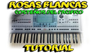 Rosas Blancas Costeños del Pacifico Teclado Tutorial Acordes [upl. by Anelhtac]