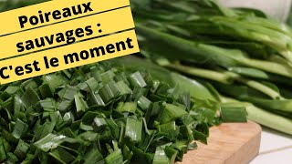 🥬😋POIREAUX SAUVAGES  CEST LE MOMENT🥬😋 [upl. by Declan878]