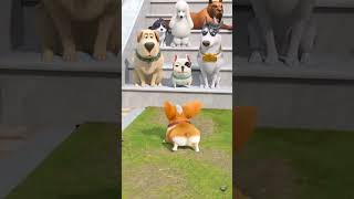 Animated dog comedy 😂 [upl. by Cosimo]