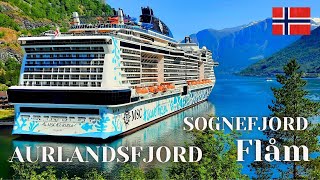 MSC EURIBIA Norway cruise  FLAM  AURLANDSFJORD  SOGNEFJORD  Highlights [upl. by Navannod]