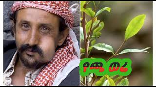 የጫት ወሬ by ustaz sadat kemal best new Amharic dawa [upl. by Maribel520]