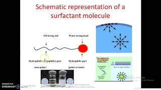 Understanding the Surfactants Behavior used in Pharmaceutical [upl. by Eira632]