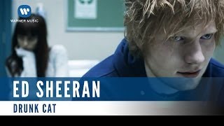 Ed Sheeran  Small Bump Official Music Video [upl. by Amimej]