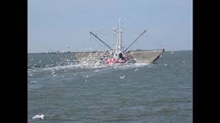 Hallig Hooge 2017 5 Seglerhafen und mehr [upl. by Orodisi]