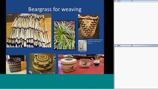 Fire Management of American Indian Basket Weaving Plants in the Pacific Northwest [upl. by Tiertza]