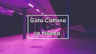 Gata Cattana  La Prueba Lyrics  Letra [upl. by Vashtee]