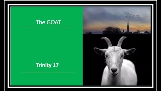 quotByte Sizequot  Trinity 17  quotThe GOATquot [upl. by Ritchie]