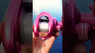 I Went Fishing With A DISCONTINUED Baitcaster… [upl. by Sheepshanks]