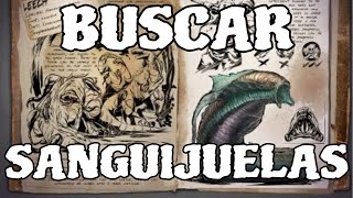 ARK Survival Evolved  En busca de sanguijuelas  gameplay español [upl. by Aliuqa]