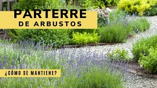 Mantenimiento básico del jardín parterre de arbustos  Bricomanía  Jardinatis [upl. by Scales]