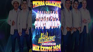 La Dinastia De Tuzantla Mix Éxitos 💥 Puro Tierra Caliente Mix Éxitos 2024 [upl. by Hermione]