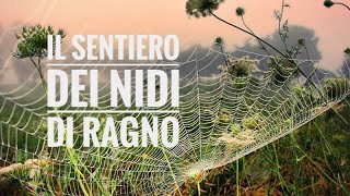 Il sentiero dei nidi di ragno  Italo Calvino [upl. by Ennywg]