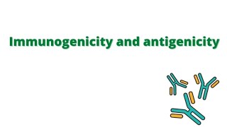 Immunogenicity and antigenicity [upl. by Aihseyn]