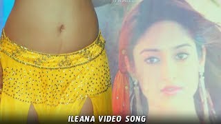 Nivasi Movie Ileana Item Song  Latest Telugu Movies  Daily Culture [upl. by Binny86]