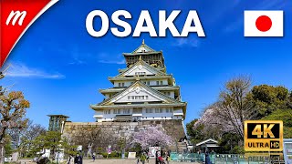 Osaka Castle Museum Walking Tour  Things to do in OSAKA [upl. by Roinuj]