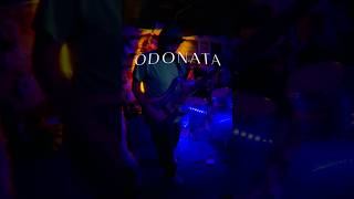 ODONATA  12624 Single Announcement [upl. by Ecertal323]