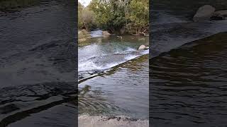 Huge waterfalls in Murfreesboro Tennessee [upl. by Htebazil791]