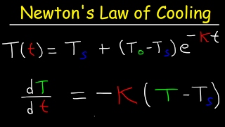 Newtons Law of Cooling Calculus Example Problems Differential Equations [upl. by Llehcsreh]