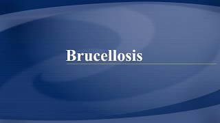 Brucellosis Lecture [upl. by Mintun]