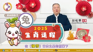 2025 Rabbit Zodiac Forecast 生肖属兔运程 by Grand Master Hillary Phang [upl. by Anawyt]