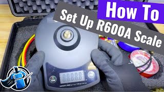 How To Set Up R600A Scale [upl. by Byrne288]