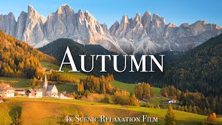 Autumn 4K  Scenic Relaxation Film With Calming Music [upl. by Biancha]