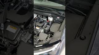 2023 Lexus UX 250h Hybrid ENGINE View [upl. by Orest663]