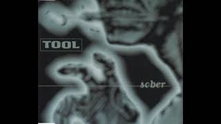 Tool  Prison Sex Live at Lollapalooza 1993 [upl. by Greff739]