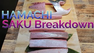 How to cut Yellowtail HAMACHI into PERFECT sushi SAKU [upl. by Torbert924]