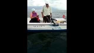 Kırlangıç balığı 3kg Triglia lucerna Fishing in Mudanya [upl. by Anieral]