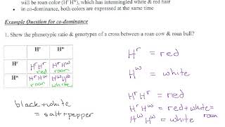 14  Codominance p15 [upl. by Aindrea952]