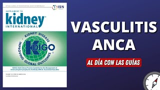 Vasculitis ANCA  KIDGO 2024 AlDíaConLasGuías [upl. by Artemed206]