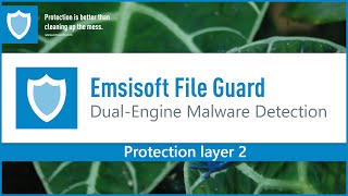 Emsisoft File Guard Demonstration [upl. by Asilla]