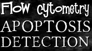 Detect apoptosis using Flow cytometry analysis CSIR NET [upl. by Quartas295]