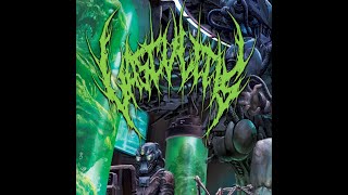 Vasculitis  Masochistic Intestinal Eruption FULL ALBUM [upl. by Alema]