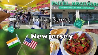 INDIAN StreetOak Tree Roadin USAIndian Grocery Shopping in USATamil USA Vlog [upl. by Retsevlis]