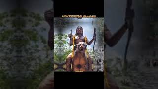 sabarimalai Ayyappan Swamy history  godinfo  shorts [upl. by Magdalene]