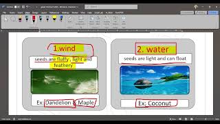 Science Grade 5 First term Concept 1 1 Lesson 5 [upl. by Elleuqar]