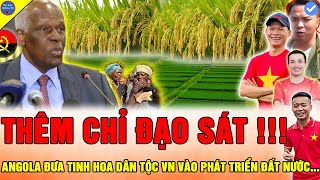 🔴TƯ LỆNH NGÀNH SỐT SẮNG Team Quang Linh Vlogs CÂY LÚA NƯỚC VIỆT THÊM ĐỒNG HÀNH MỞ RỘNG DIỆN TÍCH LỚN [upl. by Jerrie]