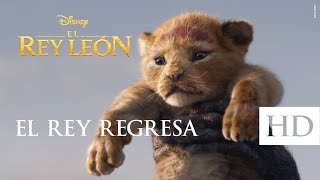 El Rey León de Disney – El regreso del rey Subtitulado [upl. by Noreik]