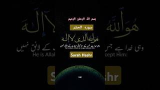 Surah Hashr سورہ الحشر shorts شورت [upl. by Cirdec646]