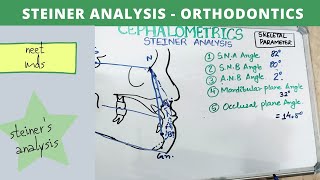 steiner analysis cephalometric  orthodontics lecture notes [upl. by Samala]