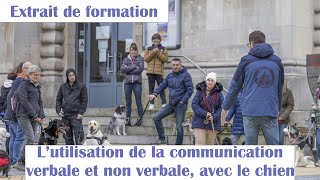 Formation comportement lutilisation de la communication verbale et non verbale avec son chien [upl. by Obala970]