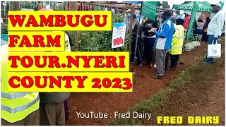 WAMBUGU FARM TOURNYERI COUNTY [upl. by Gorges]